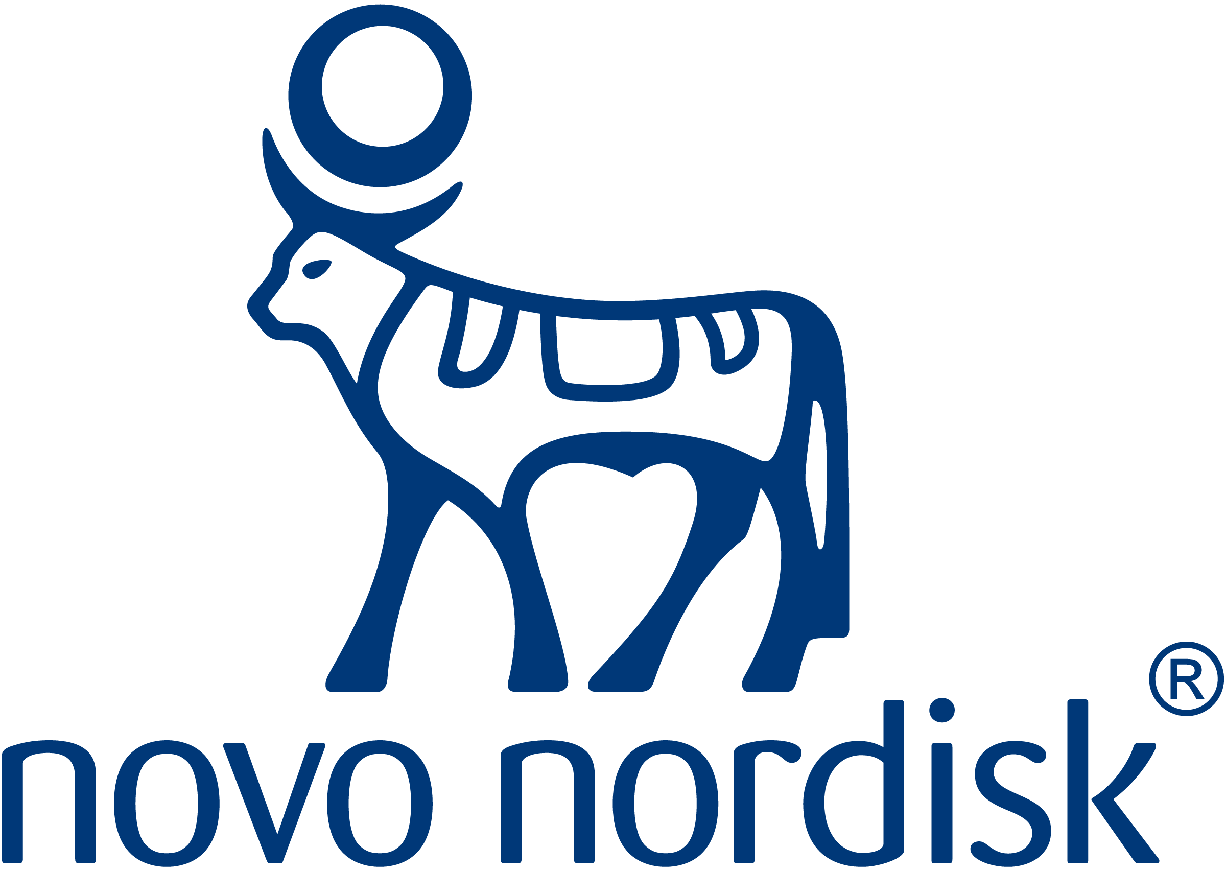 nn_logo_cmyk_blue_large